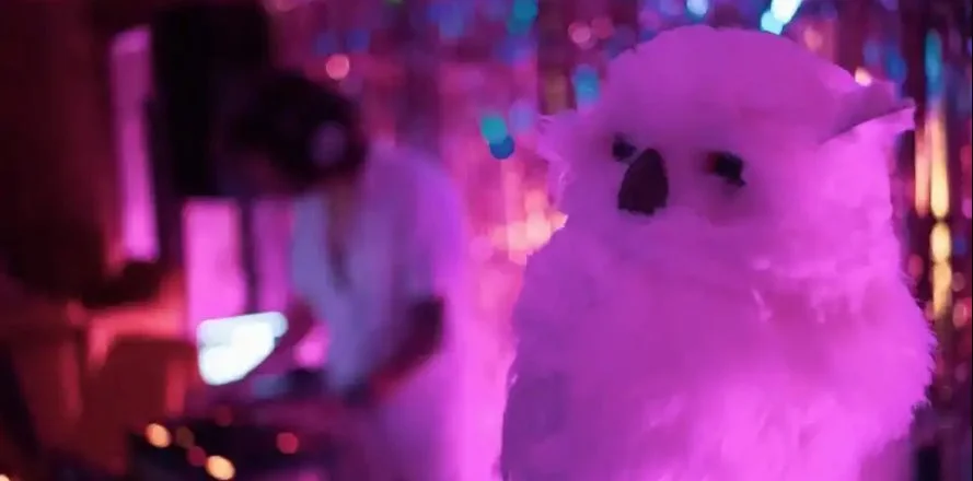 Фото NZM(Nazlo Mame) Wonderful | Winter